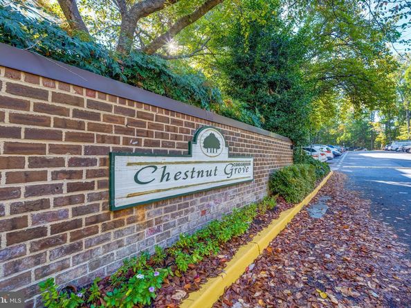11260 Chestnut Grove Square 339, Reston VA 20190