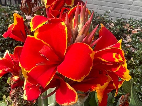 2714 Hunter Mill Road, Oakton VA 22124