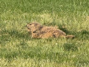 2714 Hunter Mill Road, Oakton VA 22124