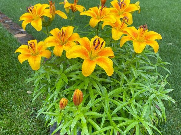 2714 Hunter Mill Road, Oakton VA 22124