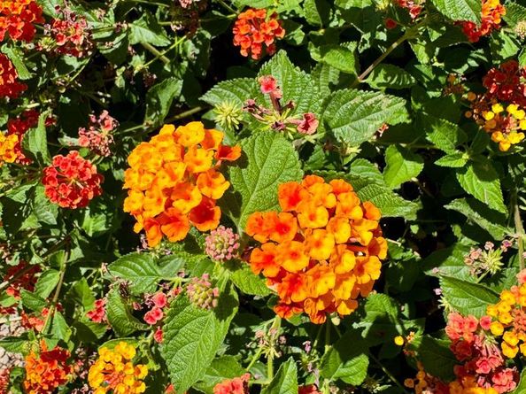 2714 Hunter Mill Road, Oakton VA 22124