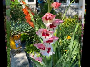 2714 Hunter Mill Road, Oakton VA 22124