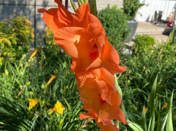 2714 Hunter Mill Road, Oakton VA 22124