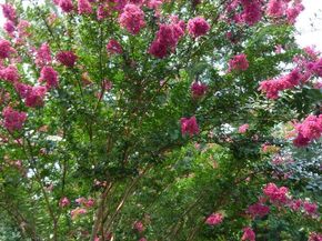 2714 Hunter Mill Road, Oakton VA 22124