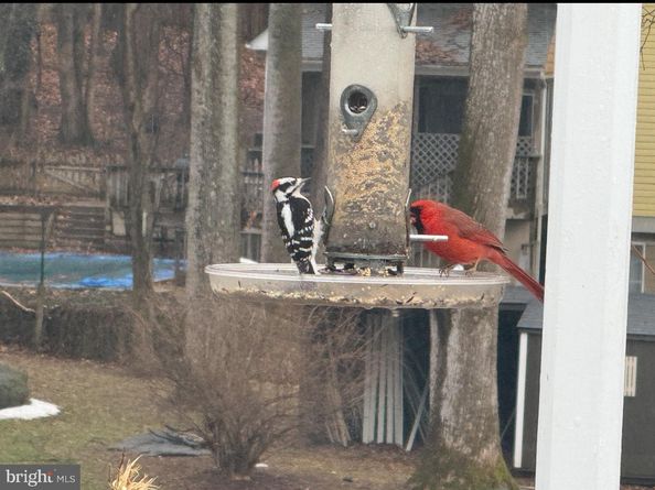 2714 Hunter Mill Road, Oakton VA 22124