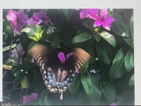 2714 Hunter Mill Road, Oakton VA 22124