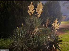 2714 Hunter Mill Road, Oakton VA 22124