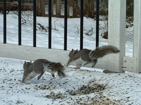 2714 Hunter Mill Road, Oakton VA 22124