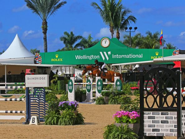 14255 Rolling Rock Place, Wellington FL 33414