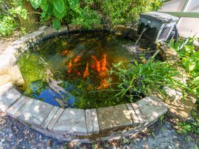 1034 Salmon Isle, Greenacres FL 33413