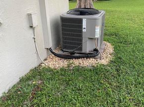 1502 Palmland Drive 1F, Boynton Beach FL 33436