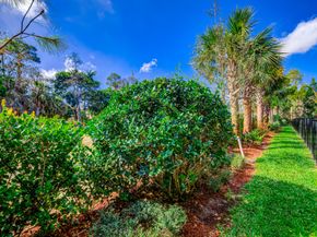 15688 Italian Cypress Way, Wellington FL 33414