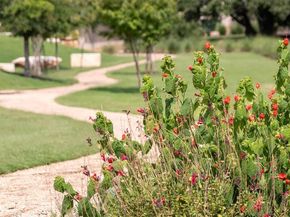 1252 Jolie Rose BND, Leander TX 78641