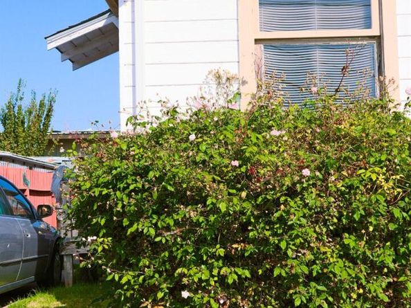 1156 64th Street, Oakland CA 94608