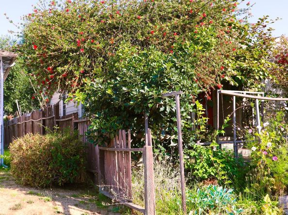 1156 64th Street, Oakland CA 94608