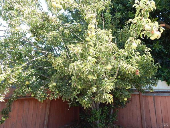 2854 16th Street, San Pablo CA 94806