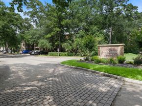 3500 Tangle Brush Drive 28, The Woodlands TX 77381