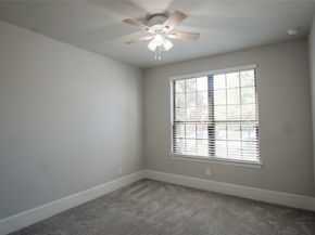 14 Trailing Lantana Place, The Woodlands TX 77354