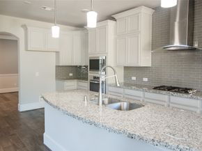 14 Trailing Lantana Place, The Woodlands TX 77354