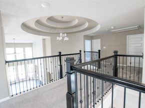14 Trailing Lantana Place, The Woodlands TX 77354