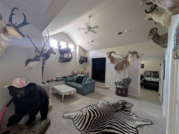 50 Spincaster Drive, Spring TX 77389