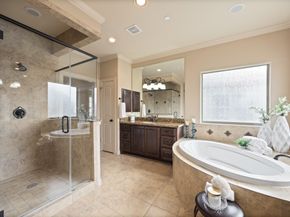 4315 Serenade Terrace Drive, Missouri City TX 77459