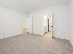 11436 Dark Amethyst Drive, Houston TX 77048