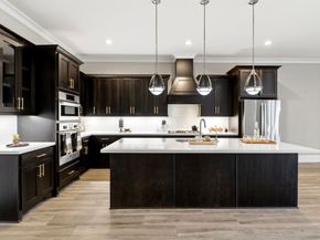 2339 Pale Star Drive, Conroe TX 77384