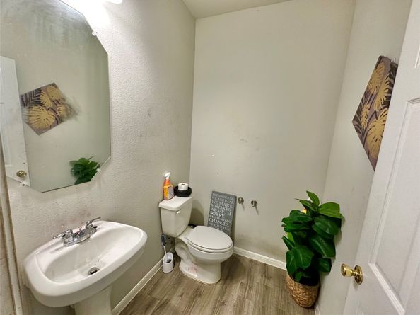 6542 Castle Loch Court, Houston TX 77048