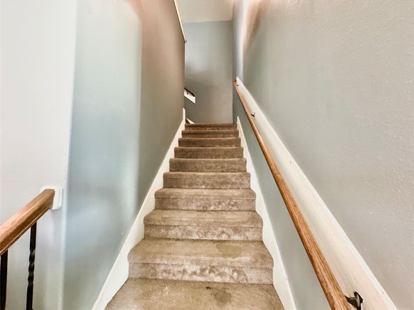 6542 Castle Loch Court, Houston TX 77048