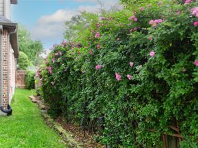 11914 Lake Mead Lane, Humble TX 77346