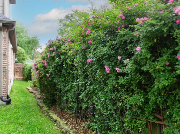 11914 Lake Mead Lane, Humble TX 77346