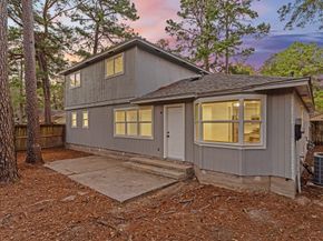 4 Dashwood Forest Street, The Woodlands TX 77381