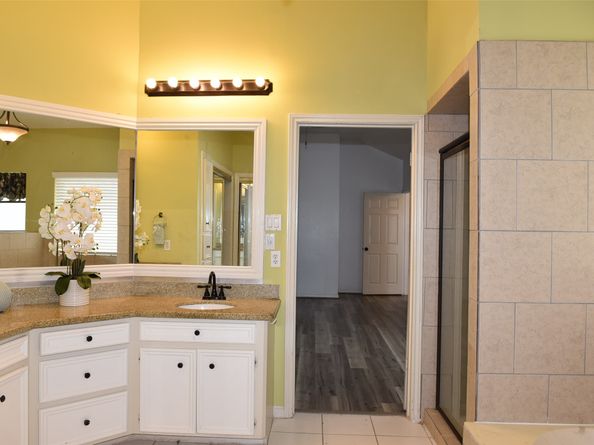 12134 Ella Lee Lane, Houston TX 77077