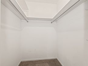 13702 Ella Lee Lane, Houston TX 77077