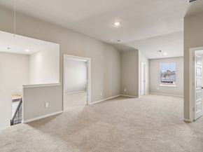 29011 Windmill Glen Lane, Waller TX 77484