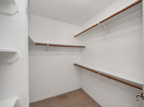 3543 Pickwick Park Drive, Kingwood TX 77339