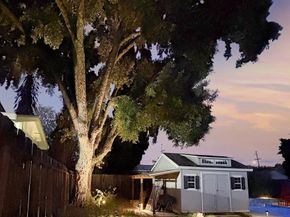 2731 Bonifacio Street, Concord CA 94519