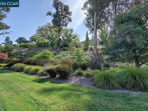 1125 Stanley Dollar Dr 3, Walnut Creek CA 94595