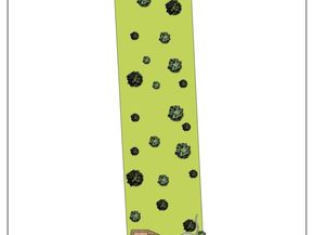 2435 Lunada, Alamo CA 94507