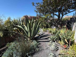 148 Highland Blvd, Kensington CA 94708