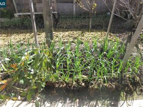 2106 Alfreda Blvd, San Pablo CA 94806