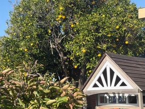 963 Dillo St, San Leandro CA 94578