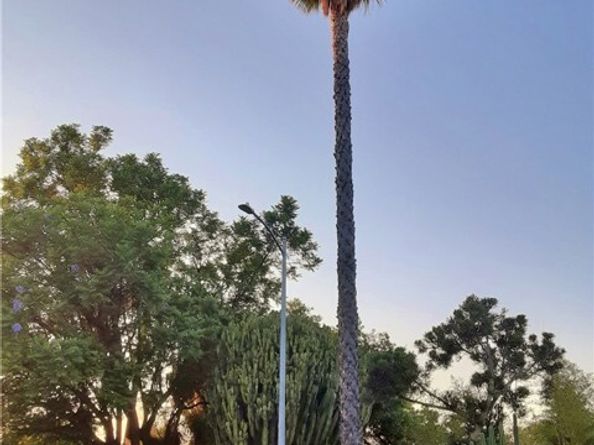 15157 Covello Street, Van Nuys (los Angeles) CA 91405