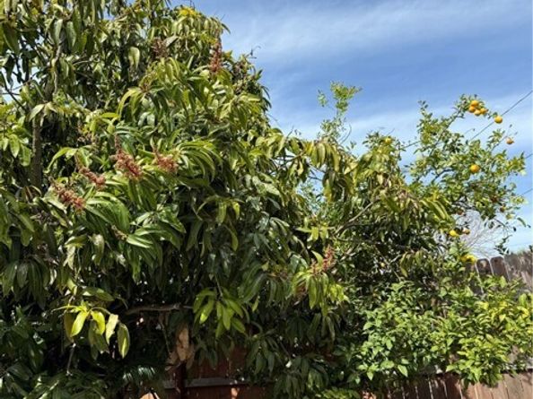 2440 Amelgado Drive, Hacienda Heights CA 91745