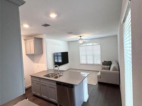 17305  Texas Pistache Drive , Dallas Texas 75252