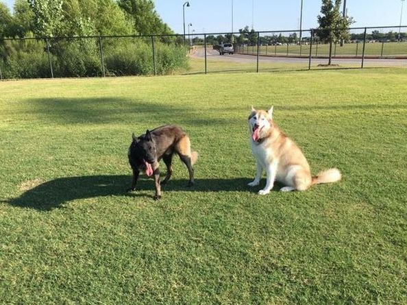 1420  Bull Street , Aubrey Texas 76227