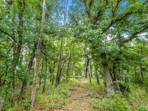 1020  Oak View Drive , Oak Point Texas 75068