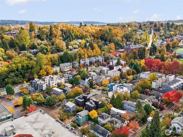 4107 25th Avenue SW, Seattle WA 98106