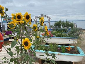 46 G Mukilteo Way, Hat Island WA 98206